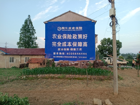 元江墙体广告的优劣势你知道吗？